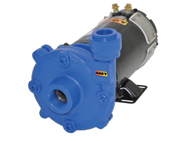 AMT 12DC Series 12V DC Washdown Pump