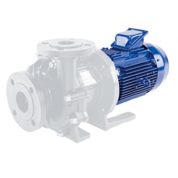 Iwaki House Motor